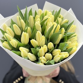 Букет из 51 тюльпана