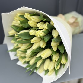 Букет из 51 тюльпана