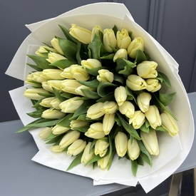 Букет из 51 тюльпана