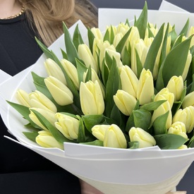 Букет из 51 тюльпана