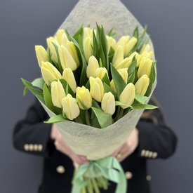 Букет из 35 желтых тюльпанов