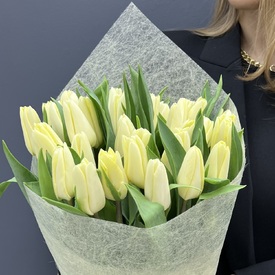 Букет из 35 желтых тюльпанов