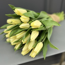 Букет из 25 желтых тюльпанов