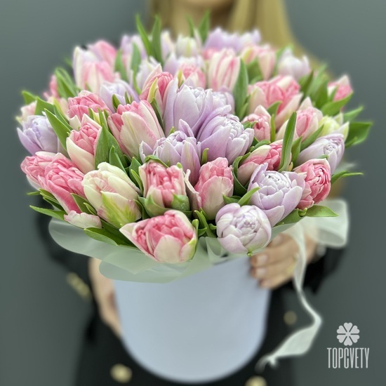 Букет из 51 пионовидного тюльпана в шляпной коробке
