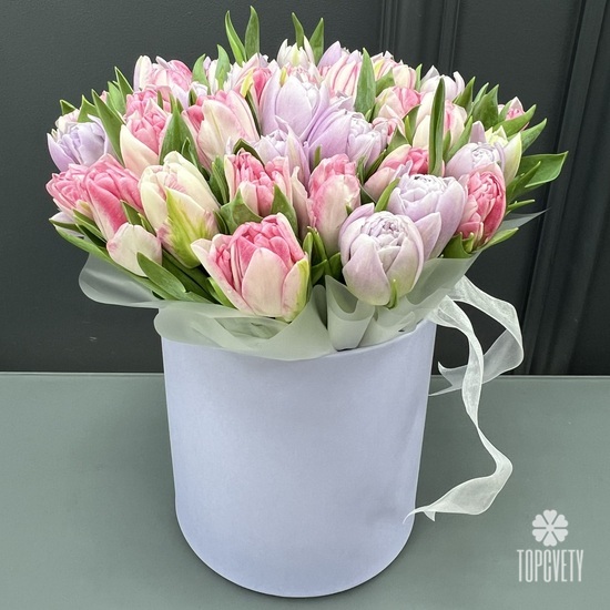Букет из 51 пионовидного тюльпана в шляпной коробке