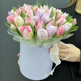 Букет из 51 пионовидного тюльпана в шляпной коробке