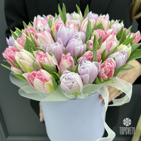Букет из 51 пионовидного тюльпана в шляпной коробке