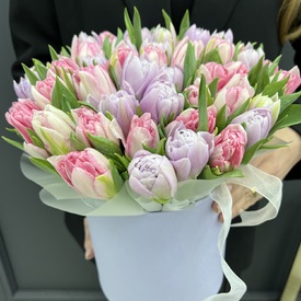 Букет из 51 пионовидного тюльпана в шляпной коробке