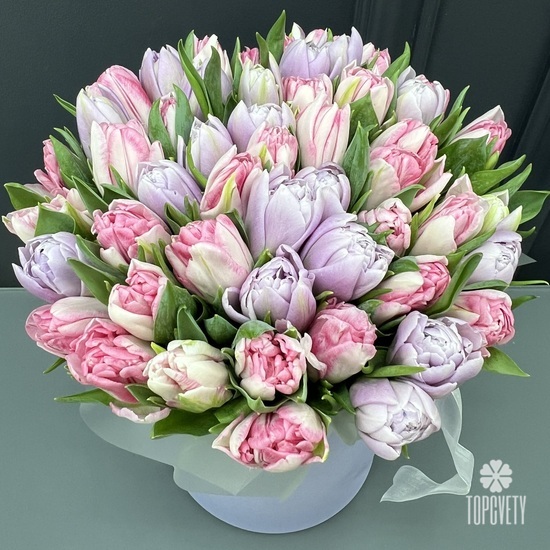 Букет из 51 пионовидного тюльпана в шляпной коробке