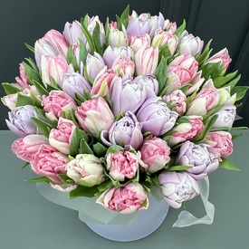 Букет из 51 пионовидного тюльпана в шляпной коробке