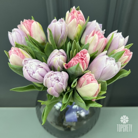 Букет из 15 сиреневых и розовых пионовидных тюльпанов