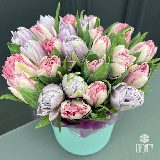Букет из 35 сиреневых и розовых  пионовидных тюльпанов в коробке
