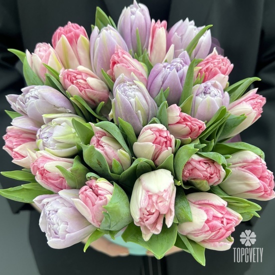 Букет из 35 сиреневых и розовых  пионовидных тюльпанов в коробке