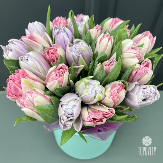 Букет из 35 сиреневых и розовых  пионовидных тюльпанов в коробке