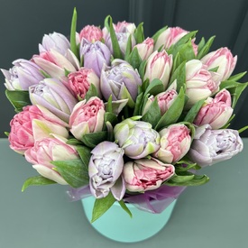 Букет из 35 сиреневых и розовых  пионовидных тюльпанов в коробке