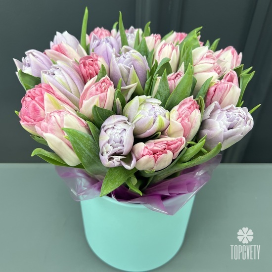 Букет из 35 сиреневых и розовых  пионовидных тюльпанов в коробке