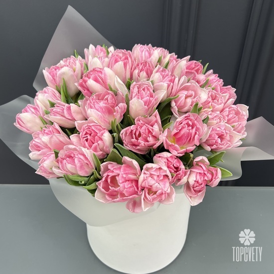 Букет из 35 розовых пионовидных тюльпанов в коробке