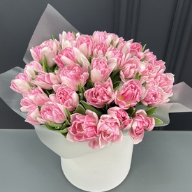 Букет из 35 розовых пионовидных тюльпанов в коробке
