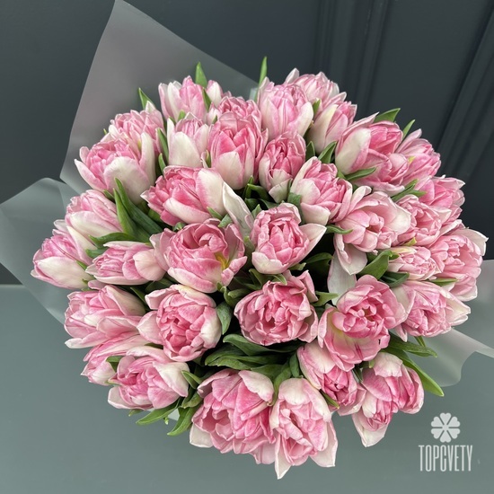 Букет из 35 розовых пионовидных тюльпанов в коробке