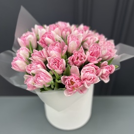 Букет из 35 розовых пионовидных тюльпанов в коробке