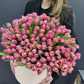 Букет из 251 пионовидных  тюльпанов в коробке