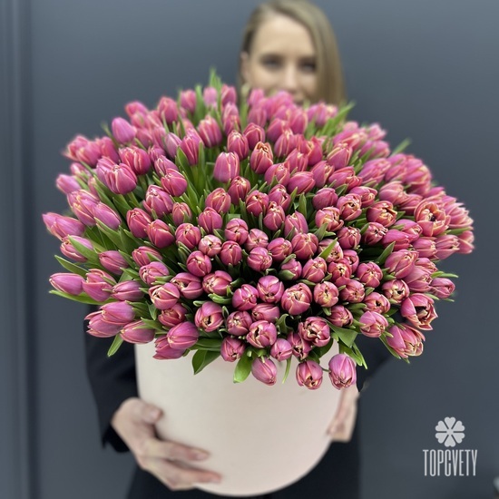 Букет из 251 пионовидных  тюльпанов в коробке