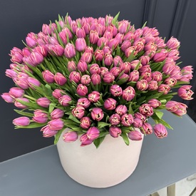 Букет из 251 пионовидных  тюльпанов в коробке