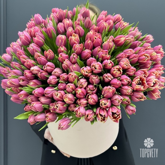 Букет из 251 пионовидных  тюльпанов в коробке