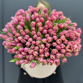 Букет из 251 пионовидных  тюльпанов в коробке