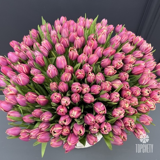 Корзина 251 пионовидный тюльпан