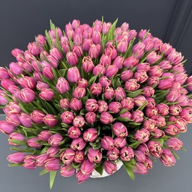 Корзина 251 пионовидный тюльпан