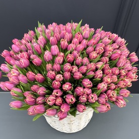 Корзина 251 пионовидный тюльпан