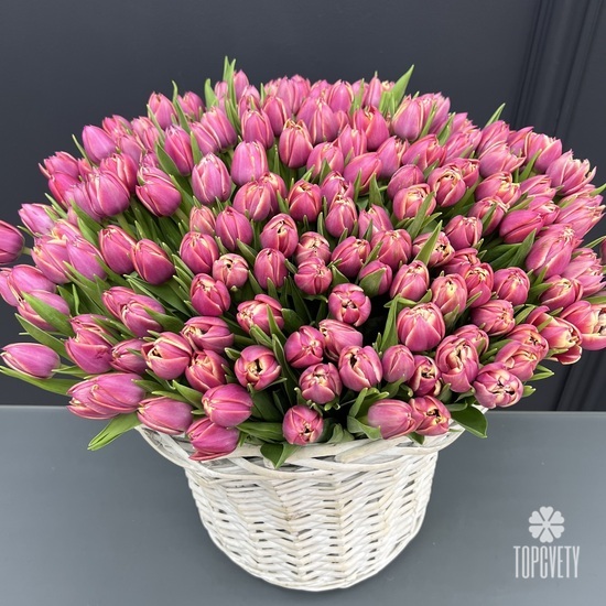 Корзина 251 пионовидный тюльпан