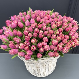 Корзина 251 пионовидный тюльпан