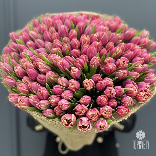 Букет из 201 пионовидного тюльпана