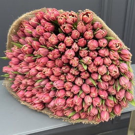 Букет из 201 пионовидного тюльпана