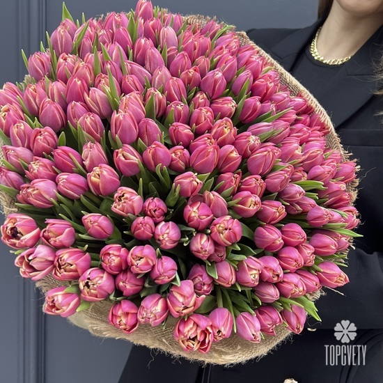 Букет из 201 пионовидного тюльпана