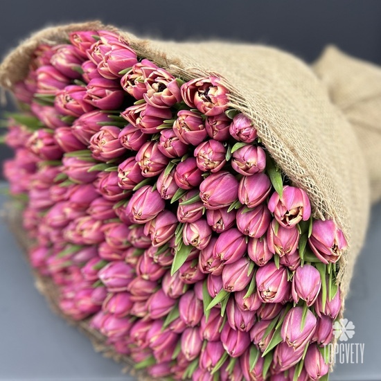 Букет из 201 пионовидного тюльпана