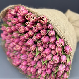 Букет из 201 пионовидного тюльпана