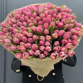 Букет из 201 пионовидного тюльпана