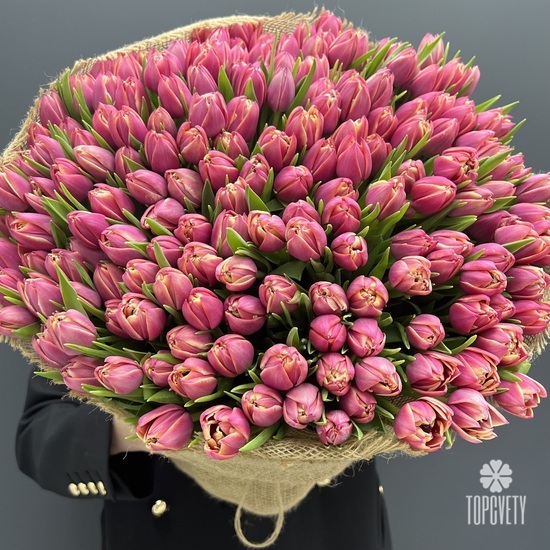 Букет из 201 пионовидного тюльпана