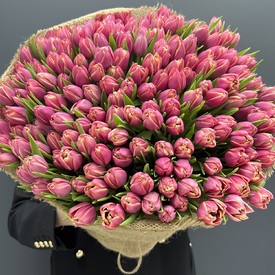 Букет из 201 пионовидного тюльпана