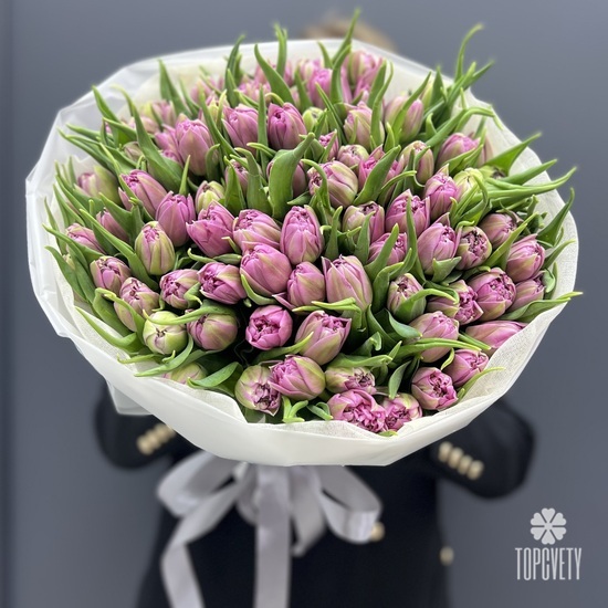 Букет из 101 сиреневых пионовидных тюльпанов