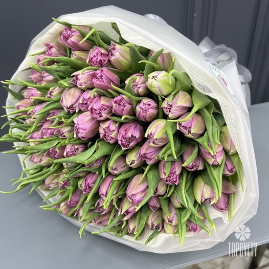 Букет из 101 сиреневых пионовидных тюльпанов