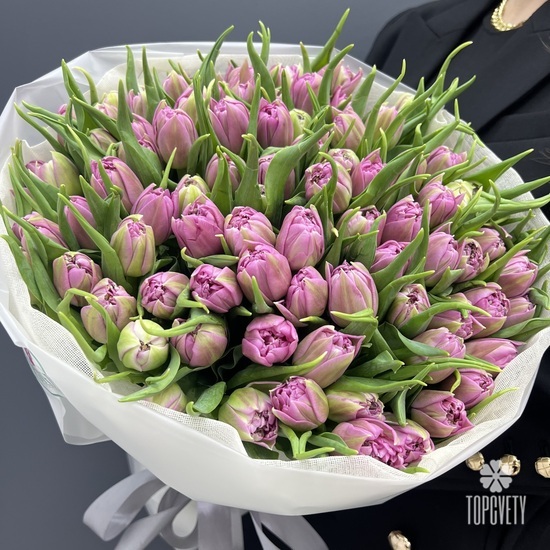 Букет из 101 сиреневых пионовидных тюльпанов