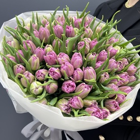 Букет из 101 сиреневых пионовидных тюльпанов