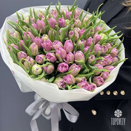 Букет из 101 сиреневых пионовидных тюльпанов