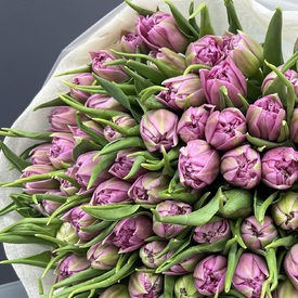 Букет из 101 сиреневых пионовидных тюльпанов