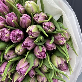 Букет из 101 сиреневых пионовидных тюльпанов