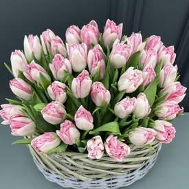 Букет из 35 пионовидных тюльпанов в корзине